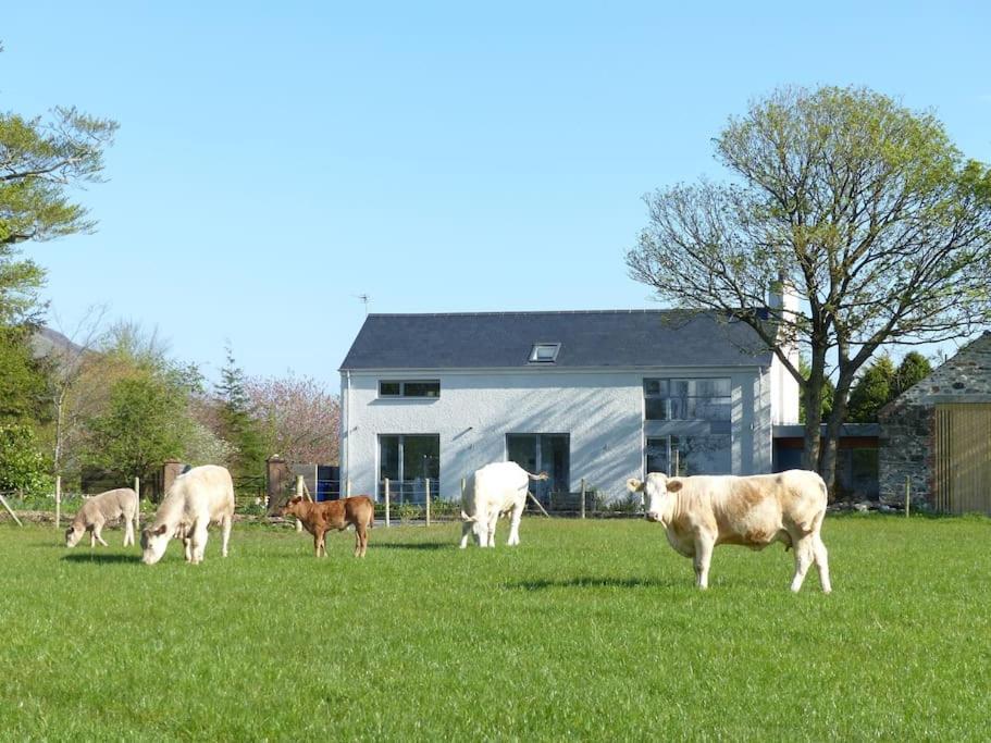 Barn Lane @ Drumagosker Rural Retreats Ardmore Εξωτερικό φωτογραφία